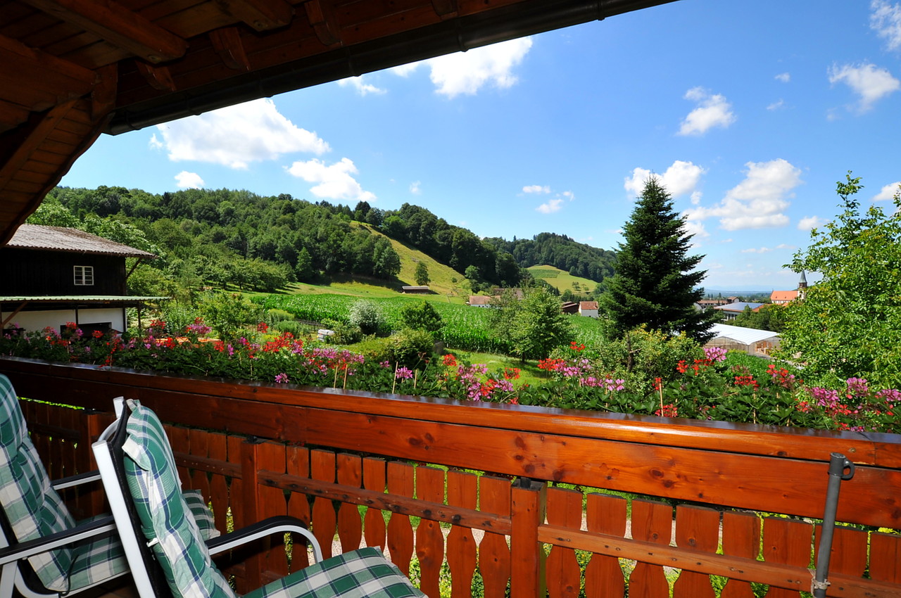 Impressionen - Bilder Vom Bauernhof Mattenhof Im Glottertal (Schwarzwald)